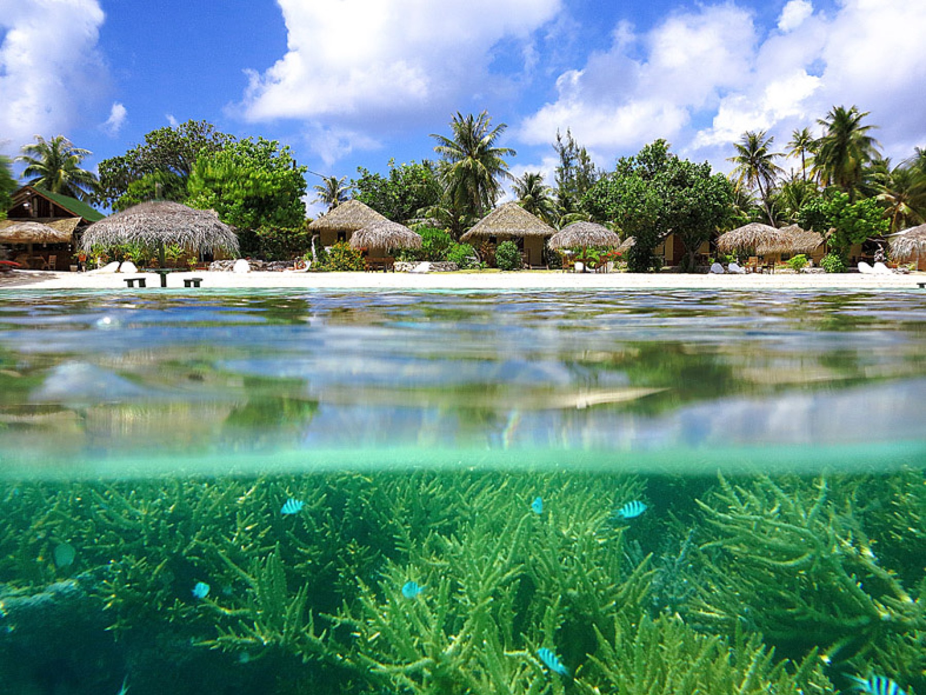 Pension Pearl Havaiki Lodge